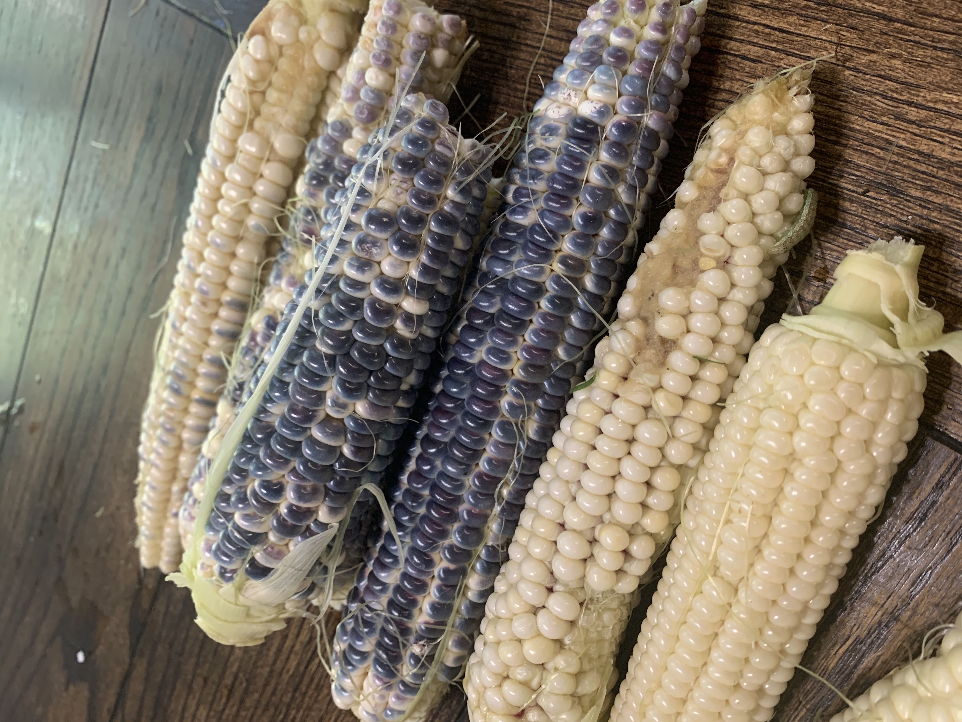 Harvest 2022